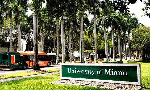 Requirements for University of Miami Undergraduate Scholarship image